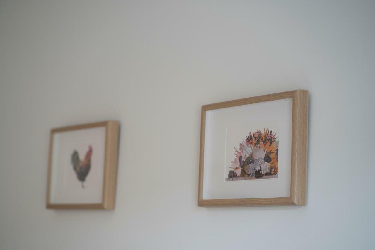 Greenstar Apartments - 2 Minute Walk Away Into City Centre - 6 Individual Flats - Next To Abertay University - 1 Bed 2 Bed & 3 Bedroom Flats - Fully Equipped - Short - Mid - Long Stays Welcome ダンディー エクステリア 写真